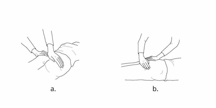 Reiki hand position the buttocks