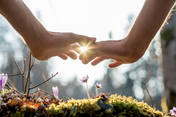 Using Reiki With Plants, Foods, And Objects